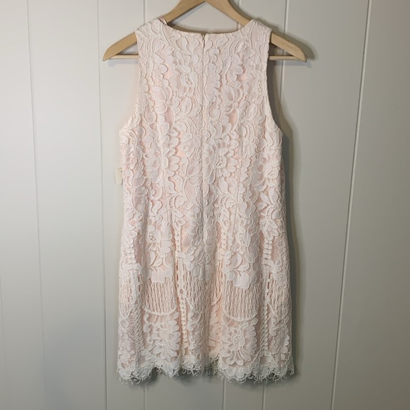NWT Eliza J Ivory Lace Dress Size 10 Petite - Picture 5 of 8